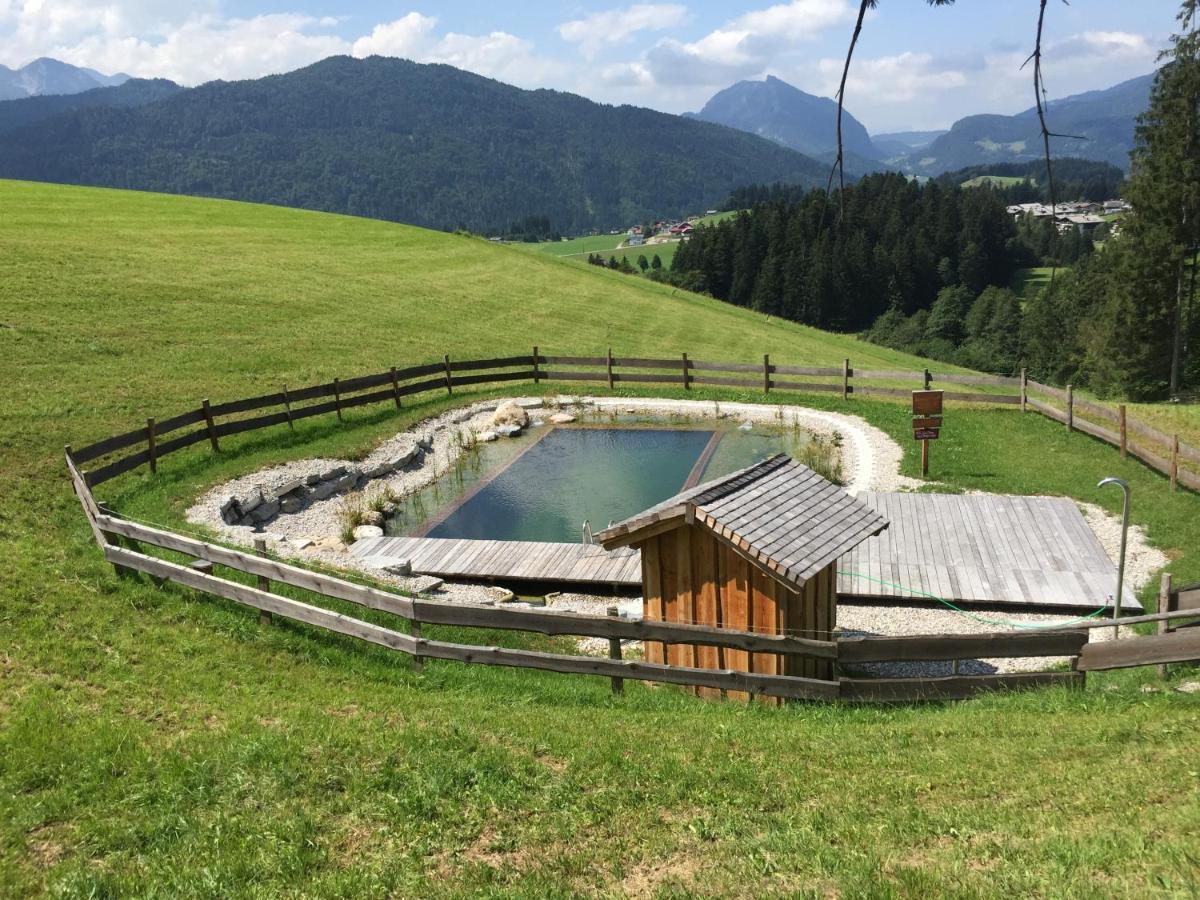 Sonnleit'N Zimmer 7 Abtenau Exterior foto
